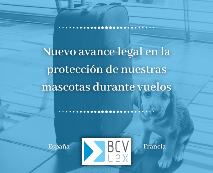 protección mascotas vuelos