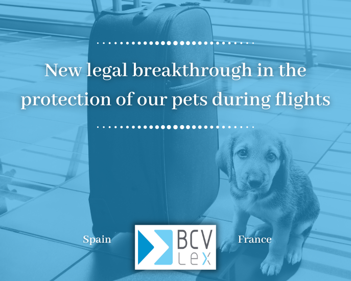 protection pets flights