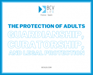 Guardianship Curatorship Legal Safeguards