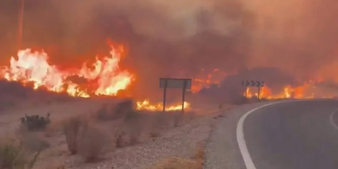 Incendio forestal de Los Gallardos en Almería.