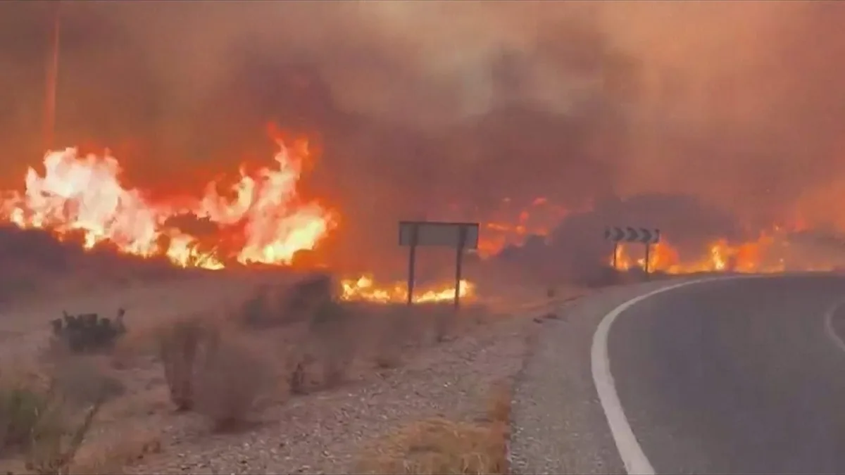 Incendio forestal de Los Gallardos en Almería.